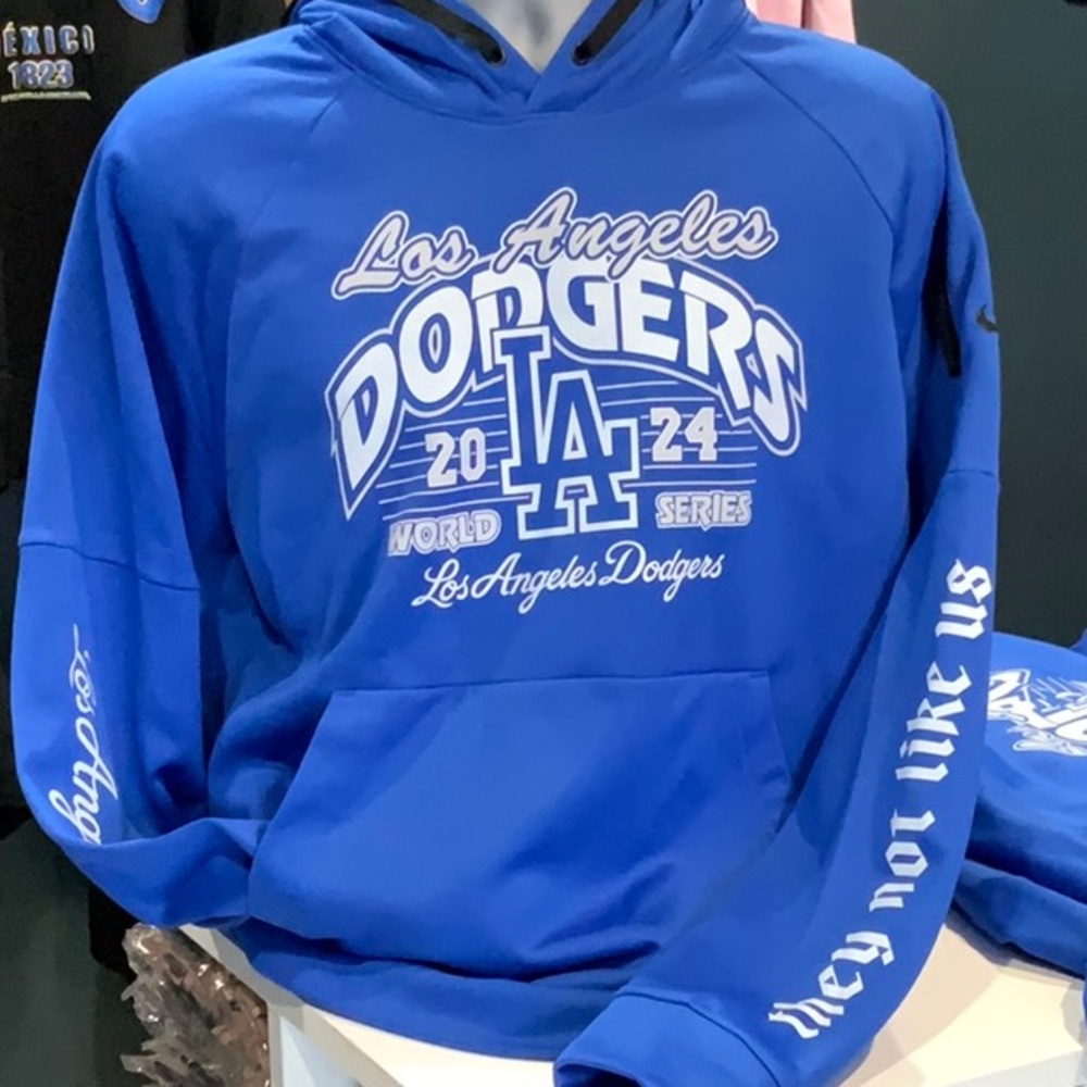 Blue Hoodie